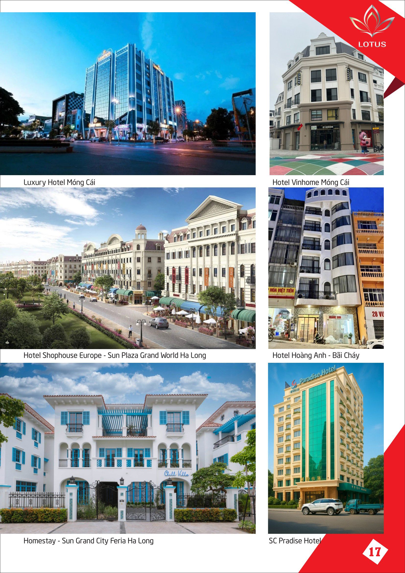 Hồ sơ năng lực 16