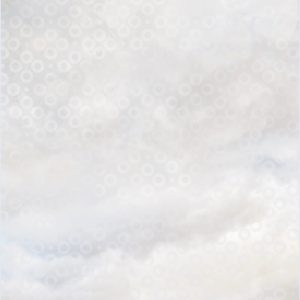 Alternative view of FANTASY ROSA