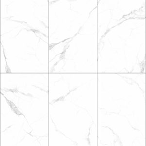 Gạch Taicera GP12W05J6
